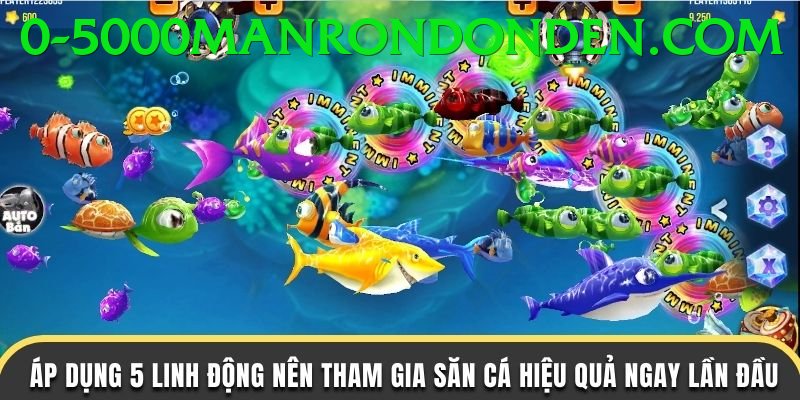 Game Bắn Cá Đổi Thưởng - Trải nghiệm tuyệt vời