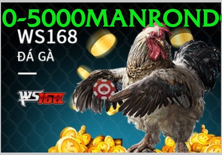 Đá Gà Trực Tiếp - Trải nghiệm tuyệt vời